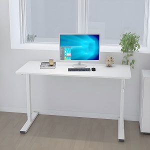 Adjustable Electric Desk